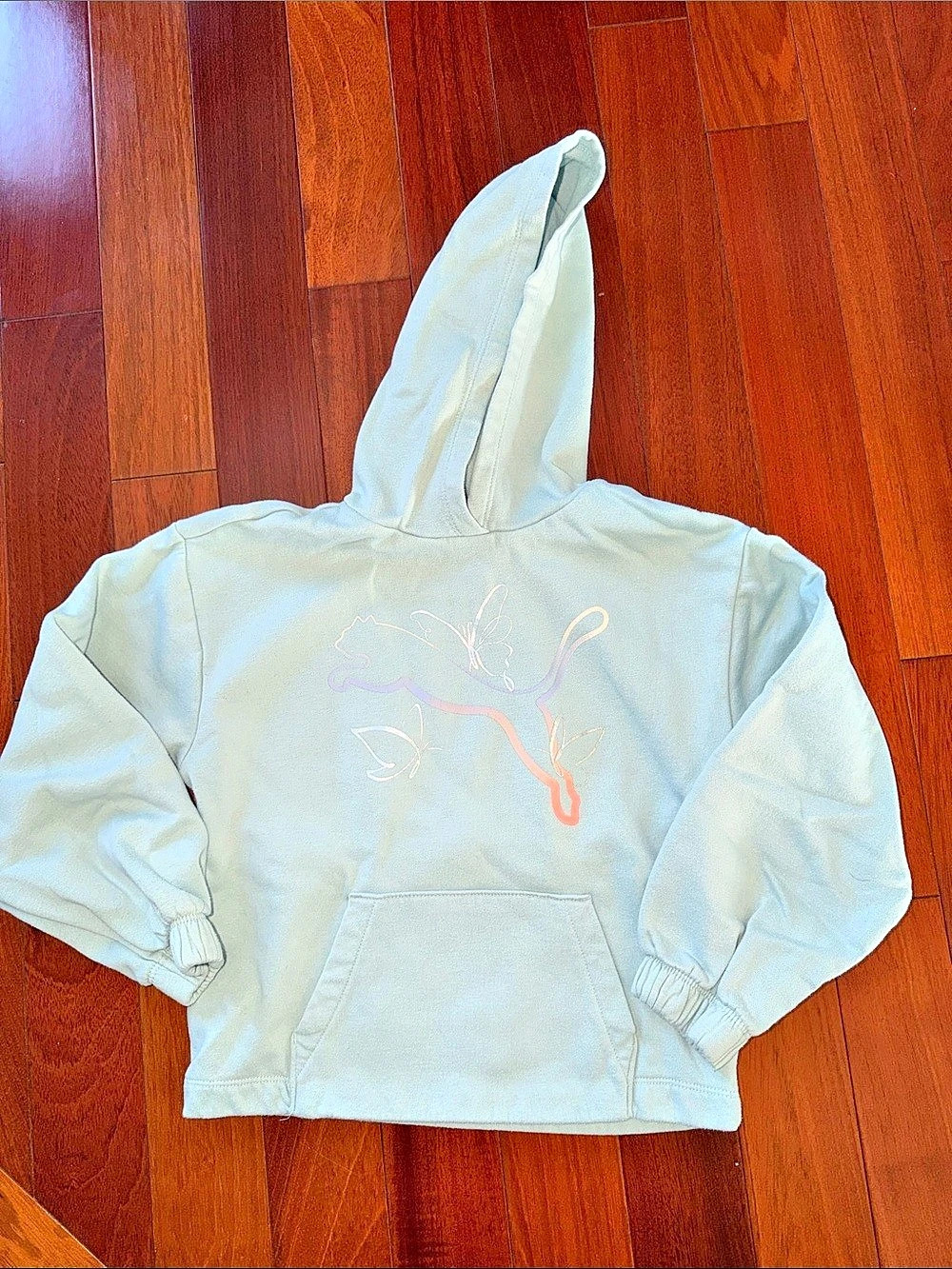 Puma Graphic Hoodie in Green Size Medium